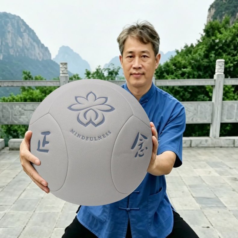 ลูกบอลไทชิขนาดใหญ่แบบพกพาสำหรั - Yoga Health & Fitness Center บทวิจารณ์และราคา